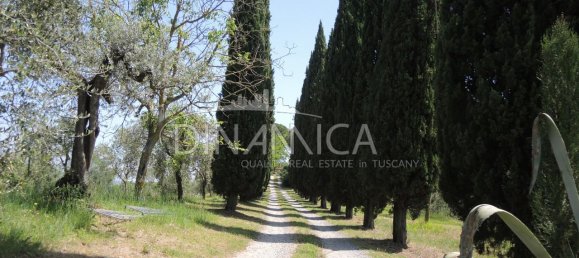 7 rooms House in San Miniato, Italy No. 234239 4