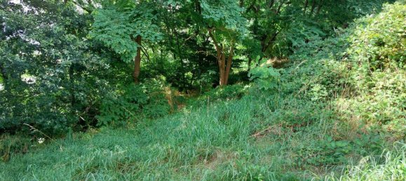  قطعة أرض في Creutzwald, France 2600متر مربع رقم 264777 3