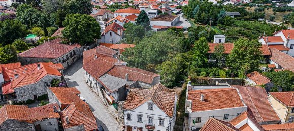 4 Schlafzimmer Haus in Canas de Senhorim, Portugal, Nr. 19103 6