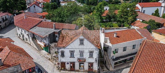 4 Schlafzimmer Haus in Canas de Senhorim, Portugal, Nr. 19103 7