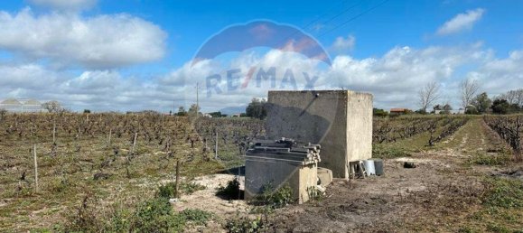 7500m² Land in Palmela, Portugal No. 92699 5