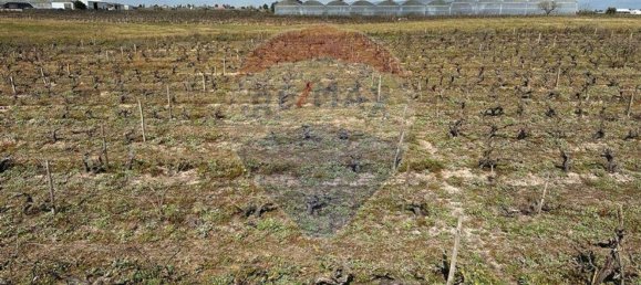 7500m² Land in Palmela, Portugal No. 92699 2