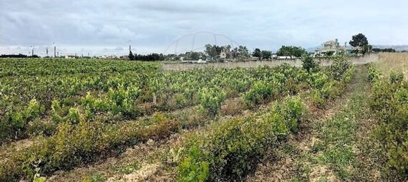 7500m² Land in Palmela, Portugal No. 92699 8