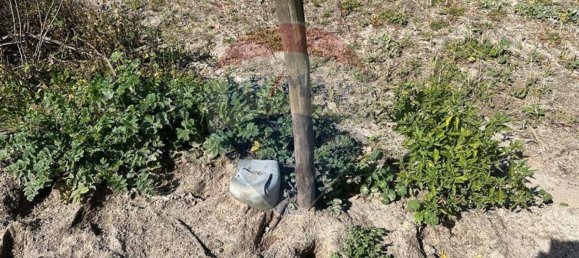 7500m² Land in Palmela, Portugal No. 92699 4