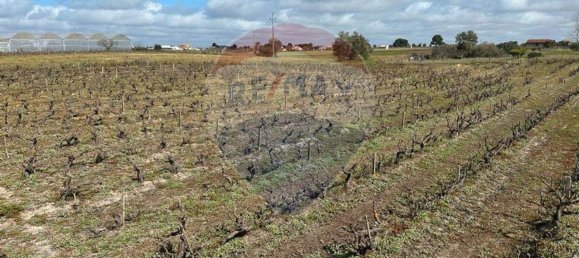 7500m² Land in Palmela, Portugal No. 92699 3