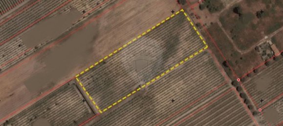 7500m² Land in Palmela, Portugal No. 92699 10