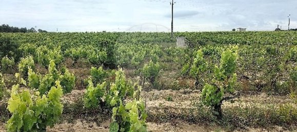 7500m² Land in Palmela, Portugal No. 92699 7