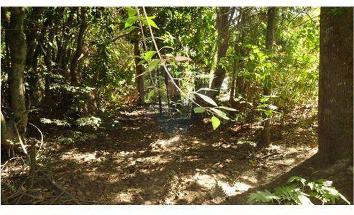 Земельный участок в Неукен, Аргентина № 45676