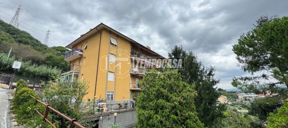 5 bedrooms Apartment in Genoa, Italy No. 347321 15