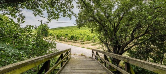 Terreno en Dobling, Austria 507 m² No. 163837 5