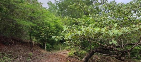 Terreno em Santa Cruz, Costa Rica N.º 1625 6