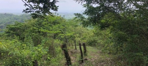 Terreno em Santa Cruz, Costa Rica N.º 1625 4