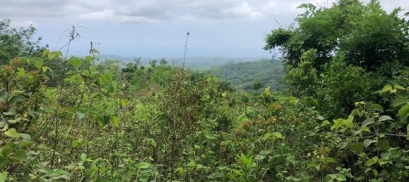 Terreno em Santa Cruz, Costa Rica N.º 1625 3