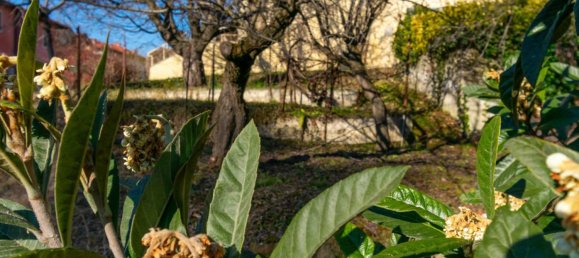 1 bedroom Villa in Lessona, Italy No. 70265 20