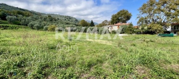 5238m² terrain à vendre à Magnesia, Thessaly, Thessaly and Central Greece, Greece № 8406 13