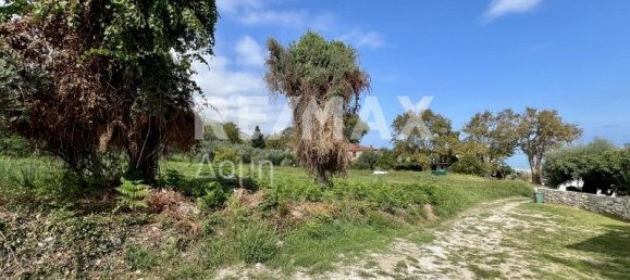 5238m² terrain à vendre à Magnesia, Thessaly, Thessaly and Central Greece, Greece № 8406 9