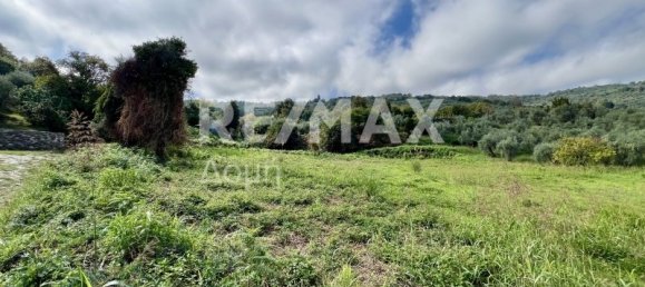 5238m² terrain à vendre à Magnesia, Thessaly, Thessaly and Central Greece, Greece № 8406 11
