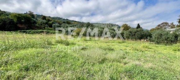 5238m² terrain à vendre à Magnesia, Thessaly, Thessaly and Central Greece, Greece № 8406 18