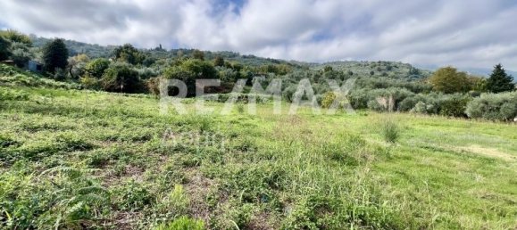 5238m² terrain à vendre à Magnesia, Thessaly, Thessaly and Central Greece, Greece № 8406 12