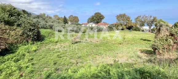 5238m² terrain à vendre à Magnesia, Thessaly, Thessaly and Central Greece, Greece № 8406 8