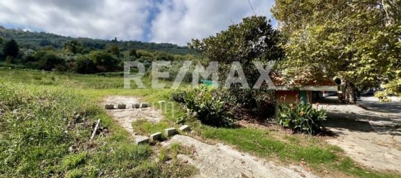 5238m² terrain à vendre à Magnesia, Thessaly, Thessaly and Central Greece, Greece № 8406 5