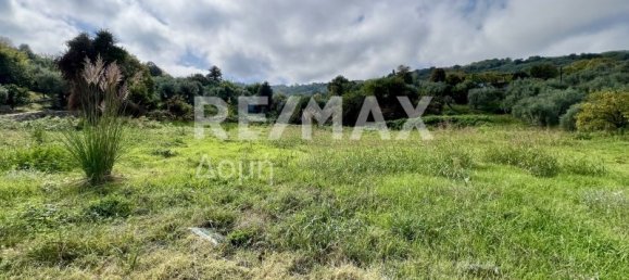 5238m² terrain à vendre à Magnesia, Thessaly, Thessaly and Central Greece, Greece № 8406 17