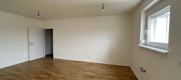4 rooms Apartment in Guntramsdorf, Austria No. 217274 10