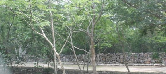 Земельный участок в Мерида, Мексика № 113106 2