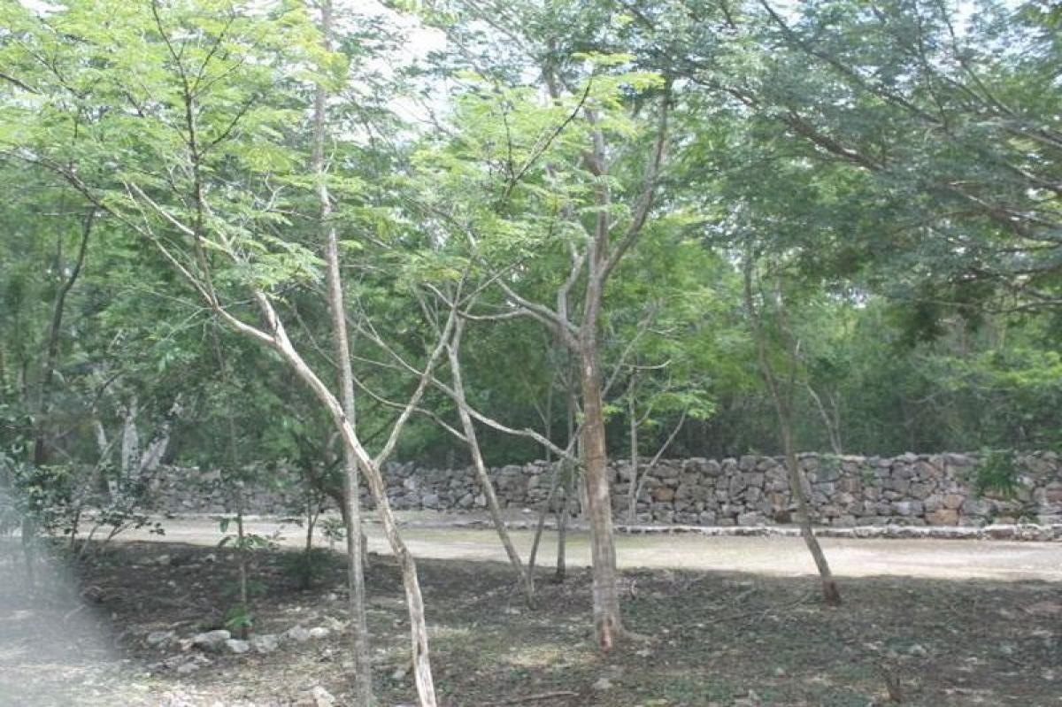 Земельный участок в Мерида, Мексика № 113106