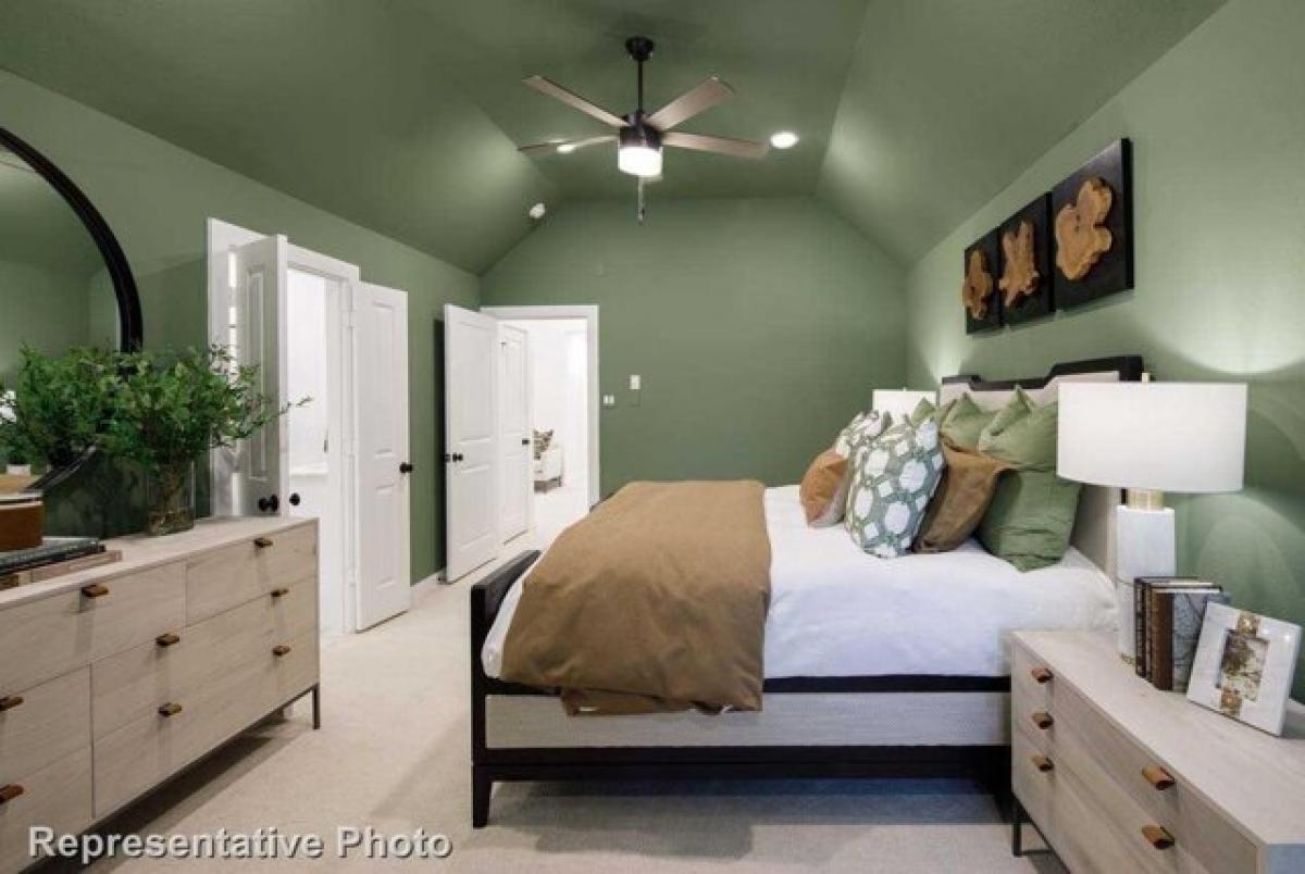 4 bedrooms House in Celina, USA No. 374652