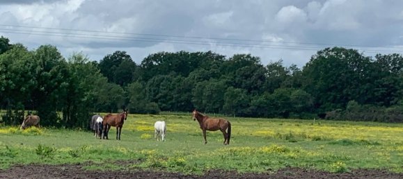 5 Schlafzimmer Haus in Noyers-sur-Cher, France, Nr. 60640 10