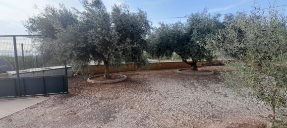 1 Schlafzimmer Haus in Alicante, Spain, Nr. 151758 53