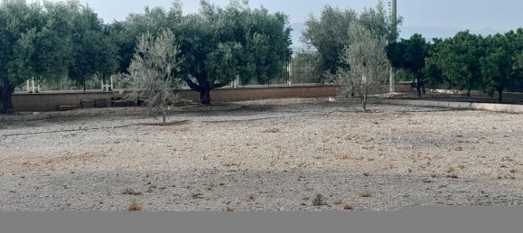 1 Schlafzimmer Haus in Alicante, Spain, Nr. 151758 49