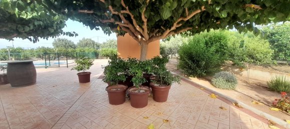 1 Schlafzimmer Haus in Alicante, Spain, Nr. 151758 63