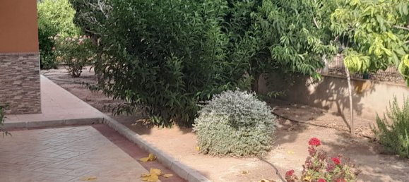 1 Schlafzimmer Haus in Alicante, Spain, Nr. 151758 61