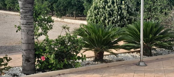 1 Schlafzimmer Haus in Alicante, Spain, Nr. 151758 56