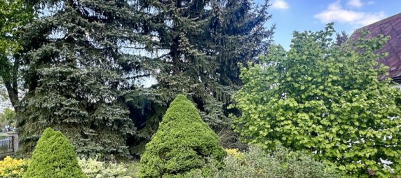  Land in Barnim, Germany No. 11512 4