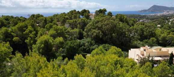 4 غرف نوم فيلا في Altea, Spain رقم 16625 19