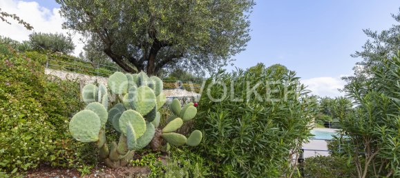 2 bedrooms Apartment in Spotorno, Italy No. 132153 6