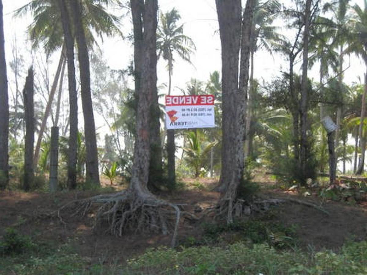  Land in Veracruz, Mexico No. 202905