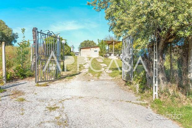2 rooms Villa in Monterotondo, Italy No. 281258