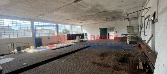 593m² Warehouse in Avis, Portugal No. 13188 26