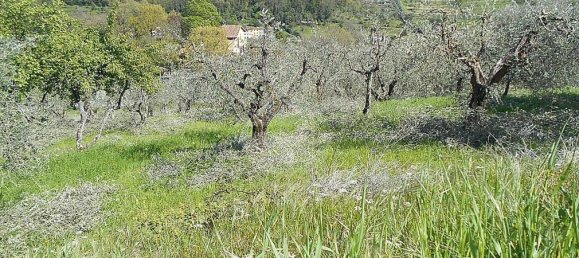 Terreno en Pistoia, Italy 2610 m² No. 70883 8