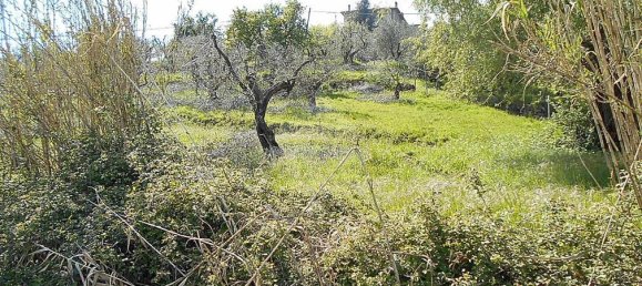 Terreno en Pistoia, Italy 2610 m² No. 70883 3