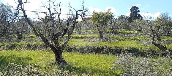 Terreno en Pistoia, Italy 2610 m² No. 70883 6