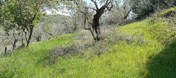 Terreno en Pistoia, Italy 2610 m² No. 70883 7