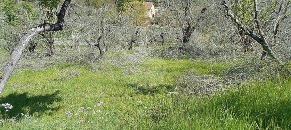 Terreno en Pistoia, Italy 2610 m² No. 70883 10