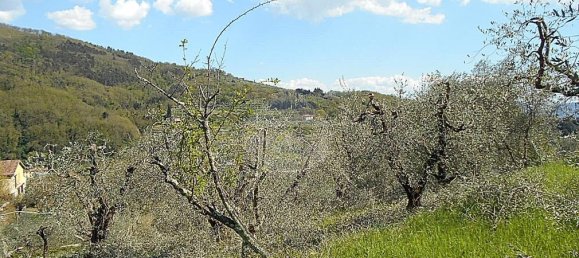 Terreno en Pistoia, Italy 2610 m² No. 70883 12