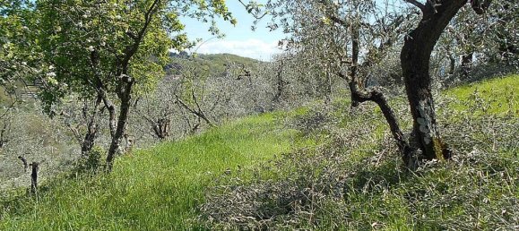 Terreno en Pistoia, Italy 2610 m² No. 70883 11