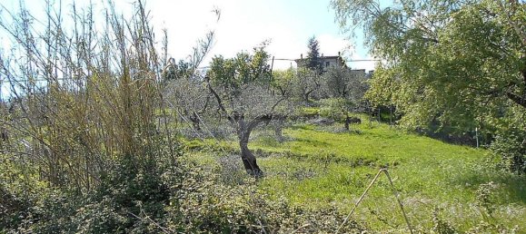 Terreno en Pistoia, Italy 2610 m² No. 70883 9